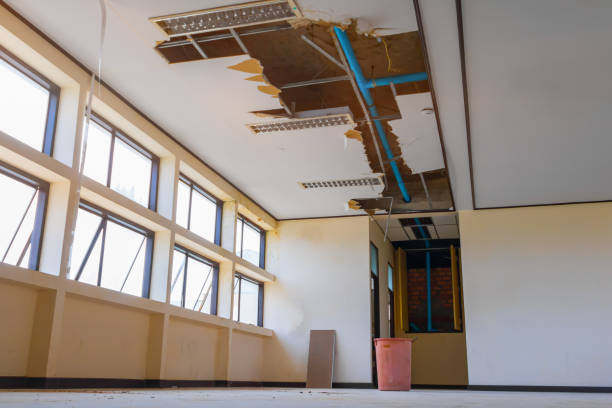 Best Ceiling water damage repair  in Destin, FL