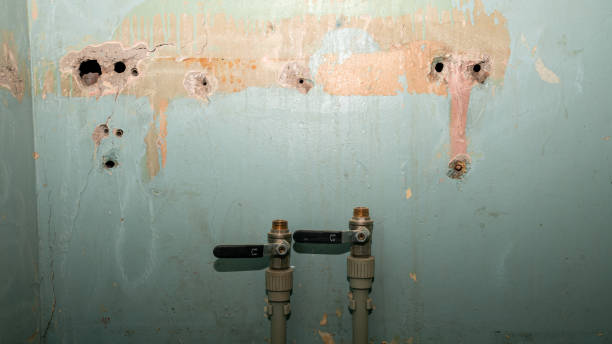 Best Flood restoration services  in Destin, FL