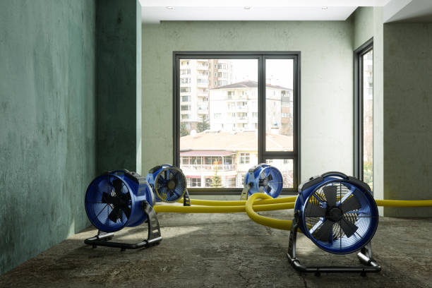 Best Mold removal after water damage  in Destin, FL